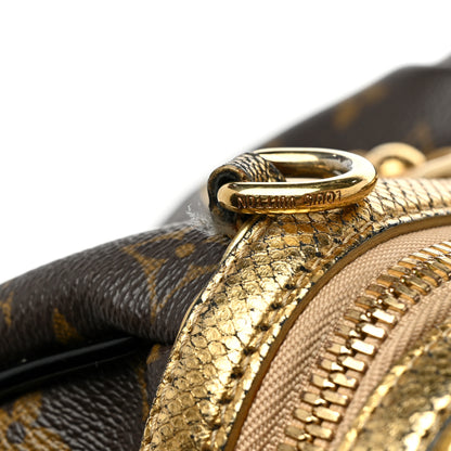 Louis Vuitton Monogram Leopard Stephen Bag 13 of 14