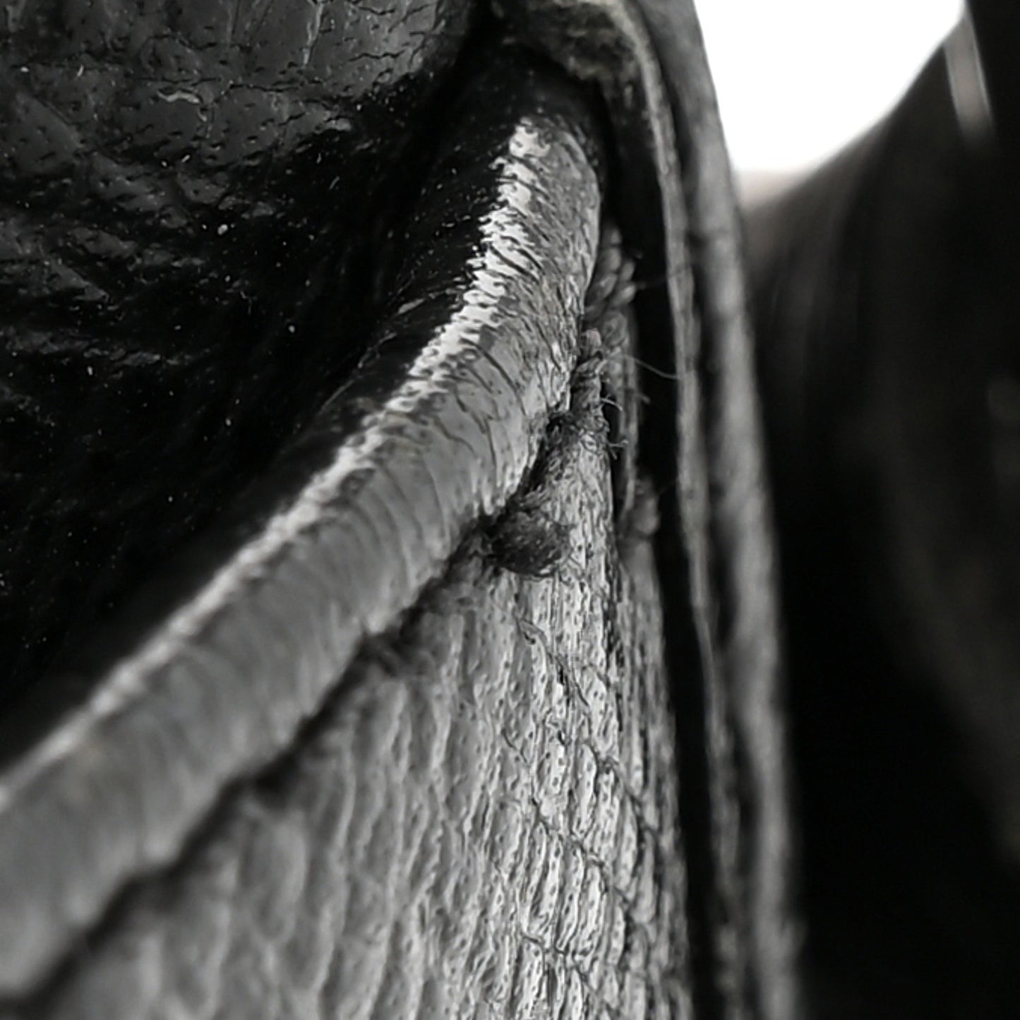 Taiga Andrei Ardoise