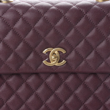 Chanel Caviar Lizard Quilted Medium Coco Handle Flap Burgundy 10 of 11