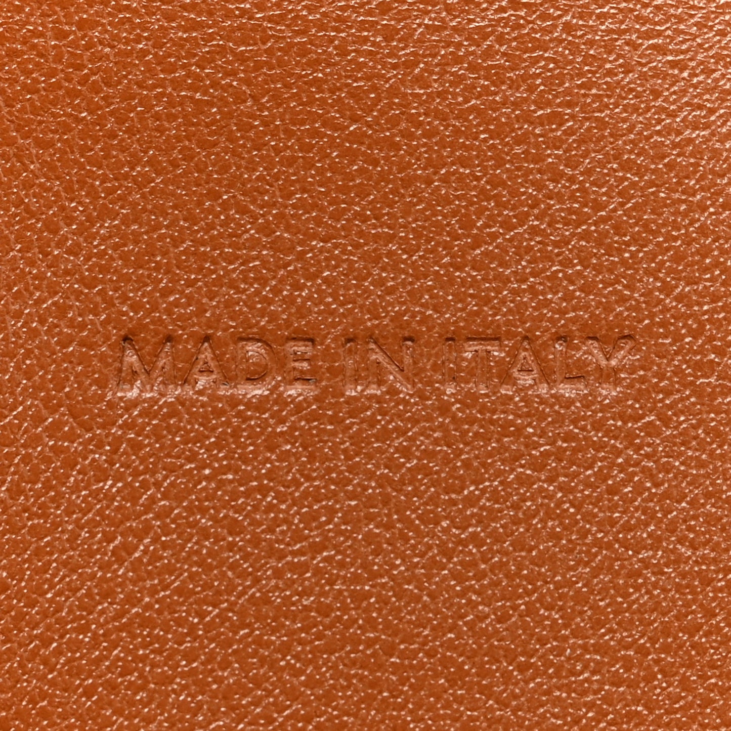 Triomphe Canvas Lambskin Wallet On Strap Tan