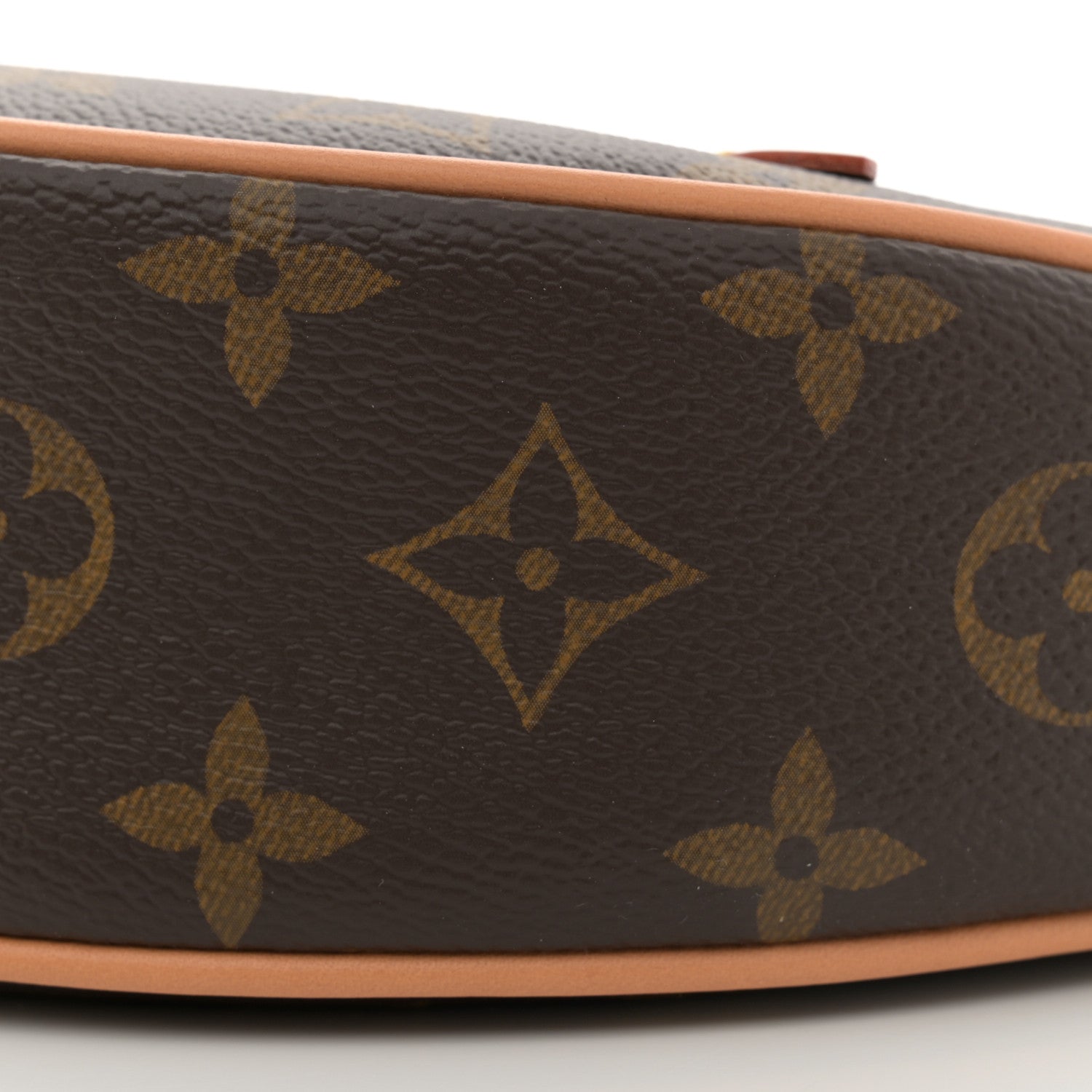Louis Vuitton Monogram Loop 9 of 9