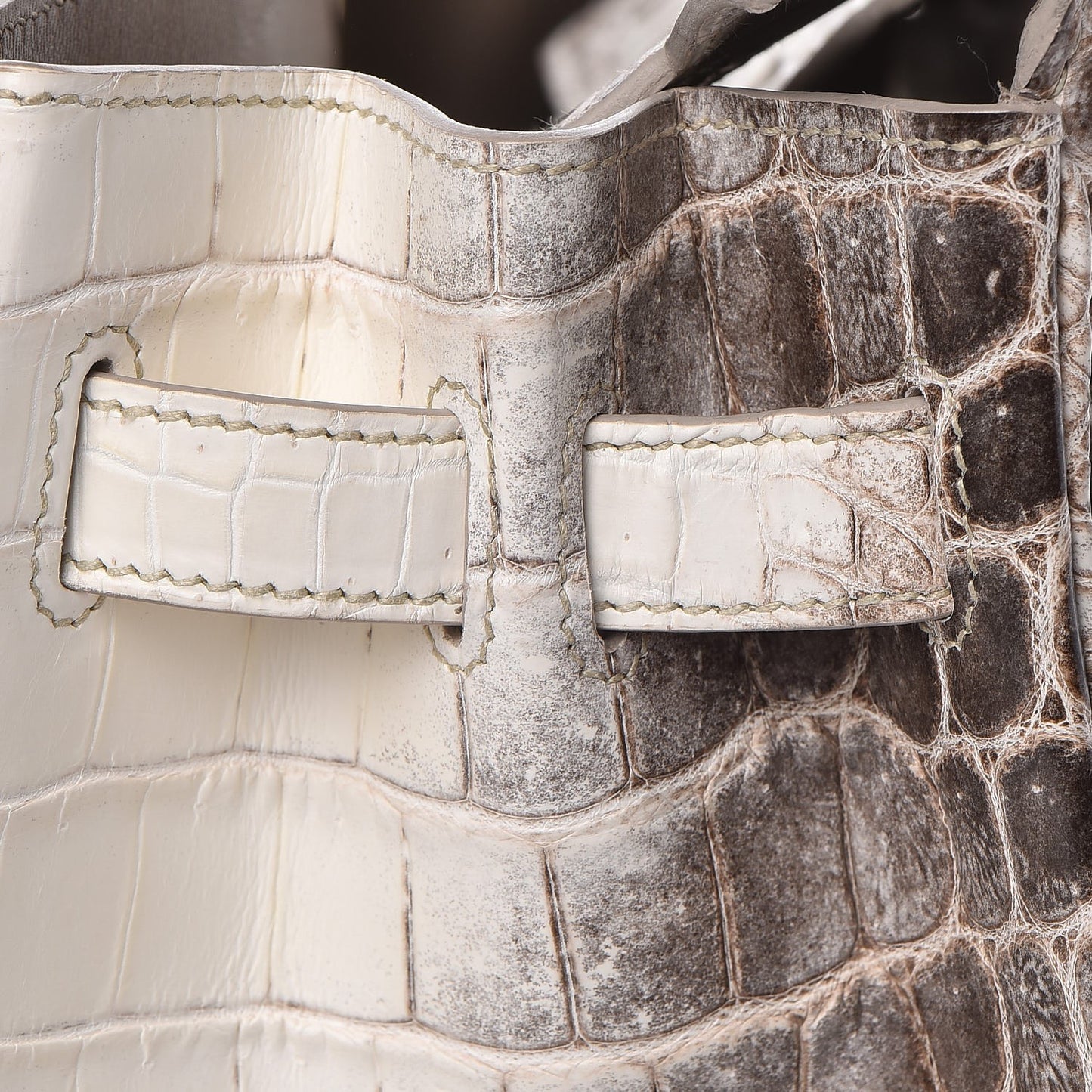 Matte Niloticus Crocodile Himalaya Birkin 30 Blanc