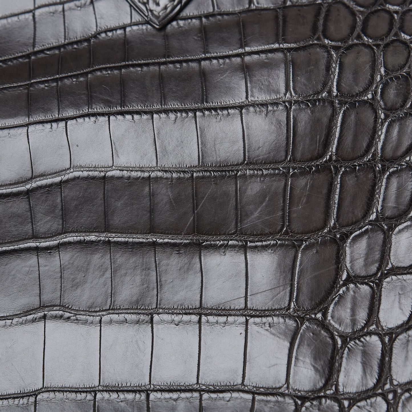 Matte Niloticus Crocodile Birkin 30 Gris Elephant