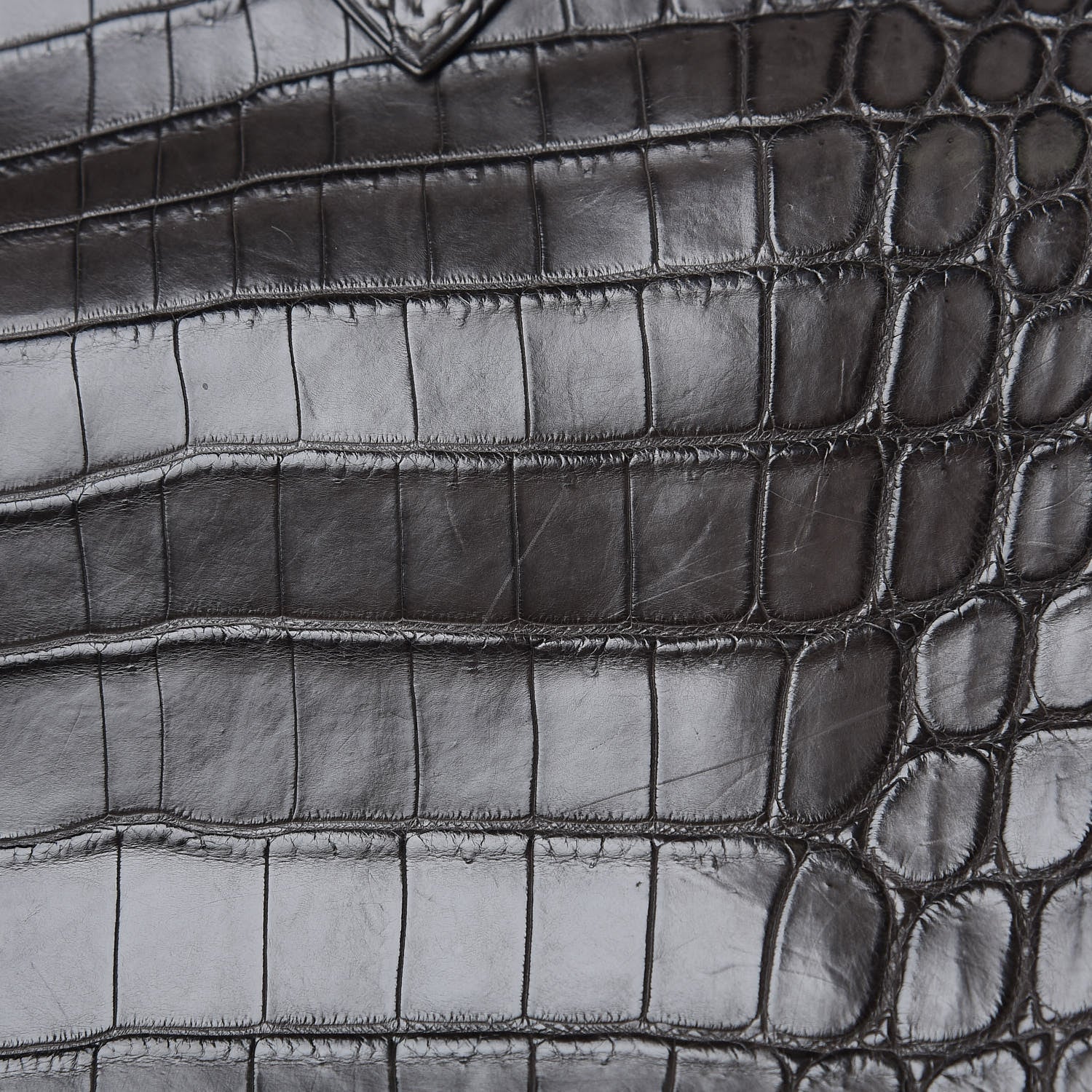 Hermes Matte Niloticus Crocodile Birkin 30 Gris Elephant 38 of 45