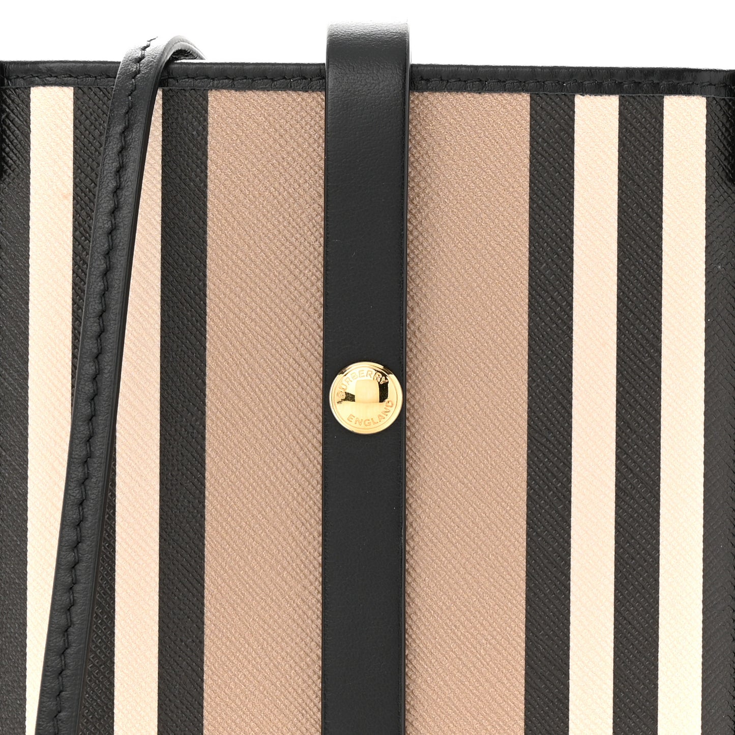 E-Canvas Calfskin Icon Stripe Anne Phone Case With Strap Archive Beige