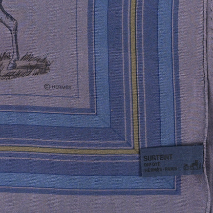 Hermes Silk Couvertures Et Tenues de Jour Scarf 90 3 of 3