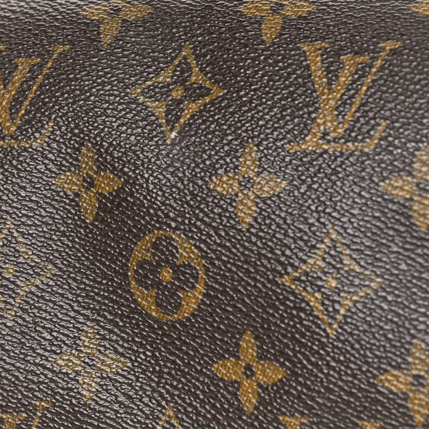 Monogram Papillon 30