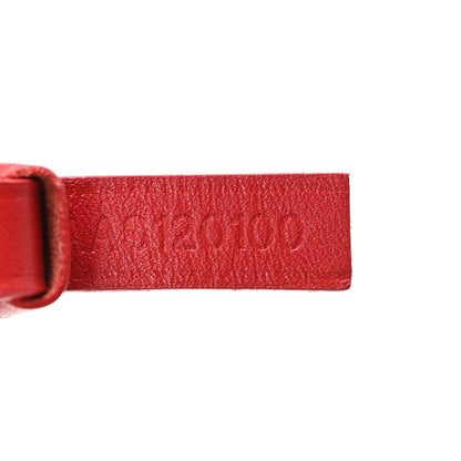 Goyard Goyardine Saint Louis PM Red 8 of 12