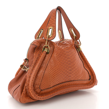 Chloe Snakeskin Medium Paraty Brown 3 of 14