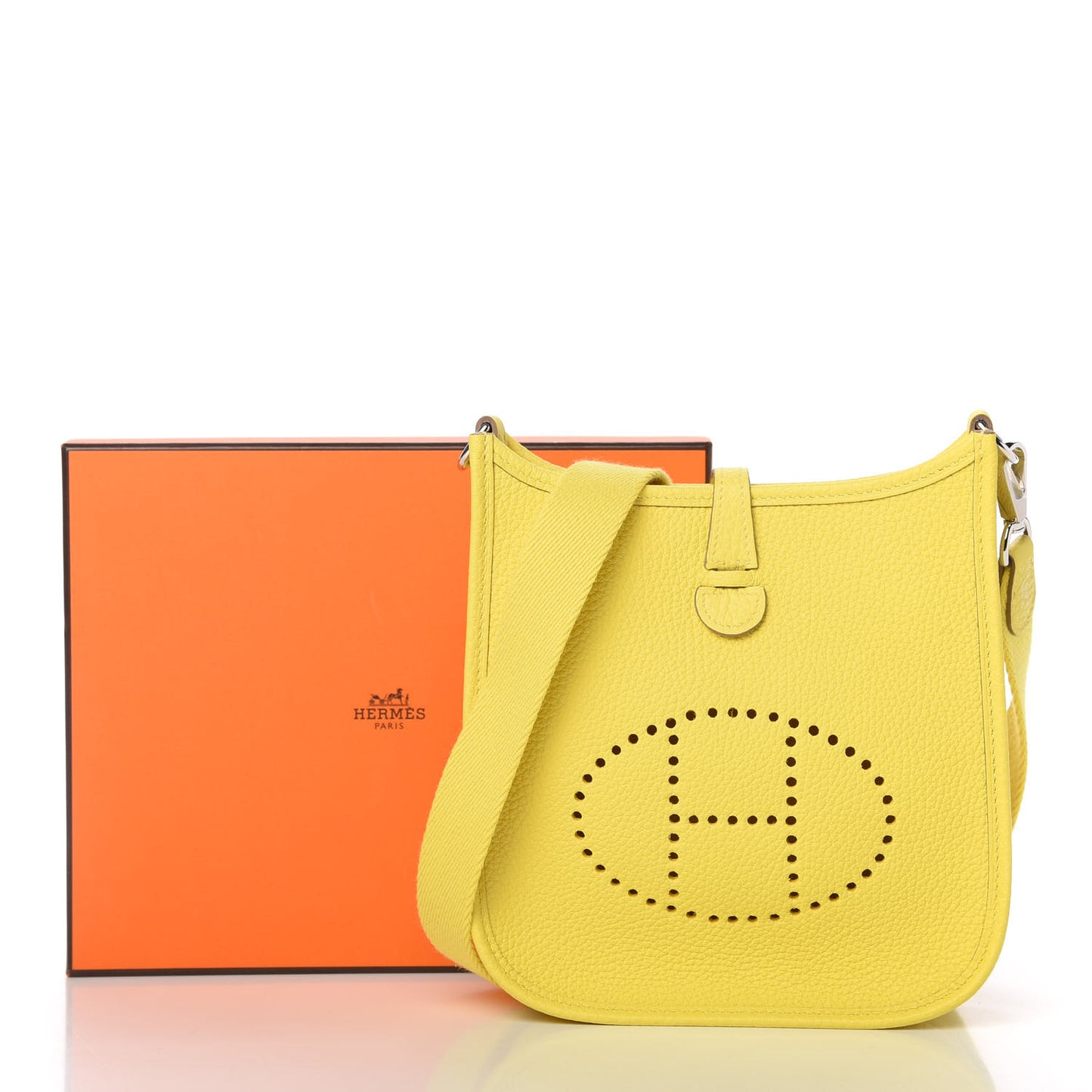 Taurillon Clemence Evelyne TPM Lime