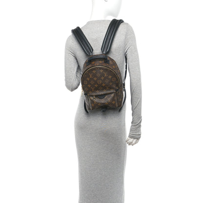 Louis Vuitton Monogram Palm Springs Backpack PM 2 of 10