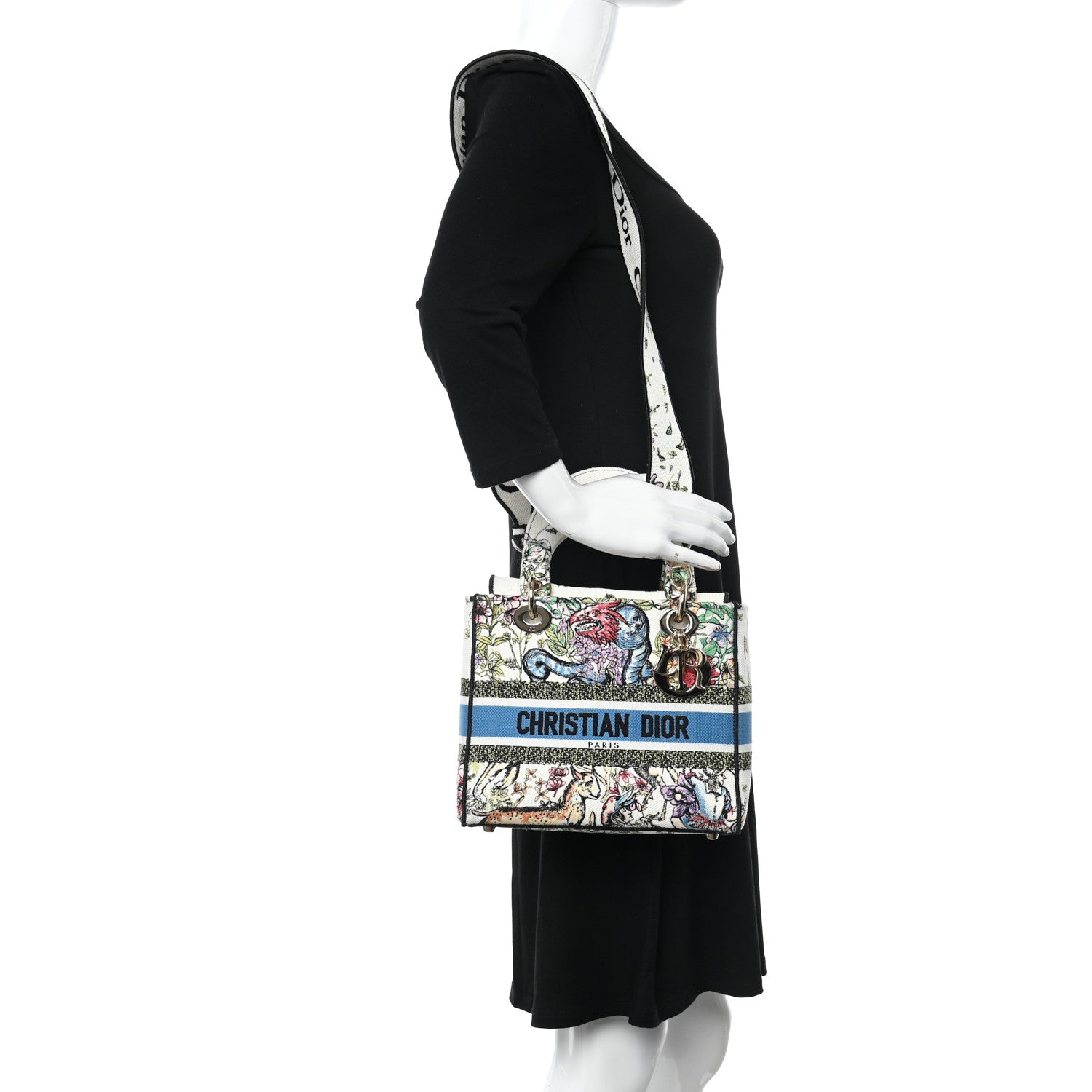 Christian Dior Canvas D-Constellation Embroidered Medium Lady D-Lite Latte Multicolor 2 of 11