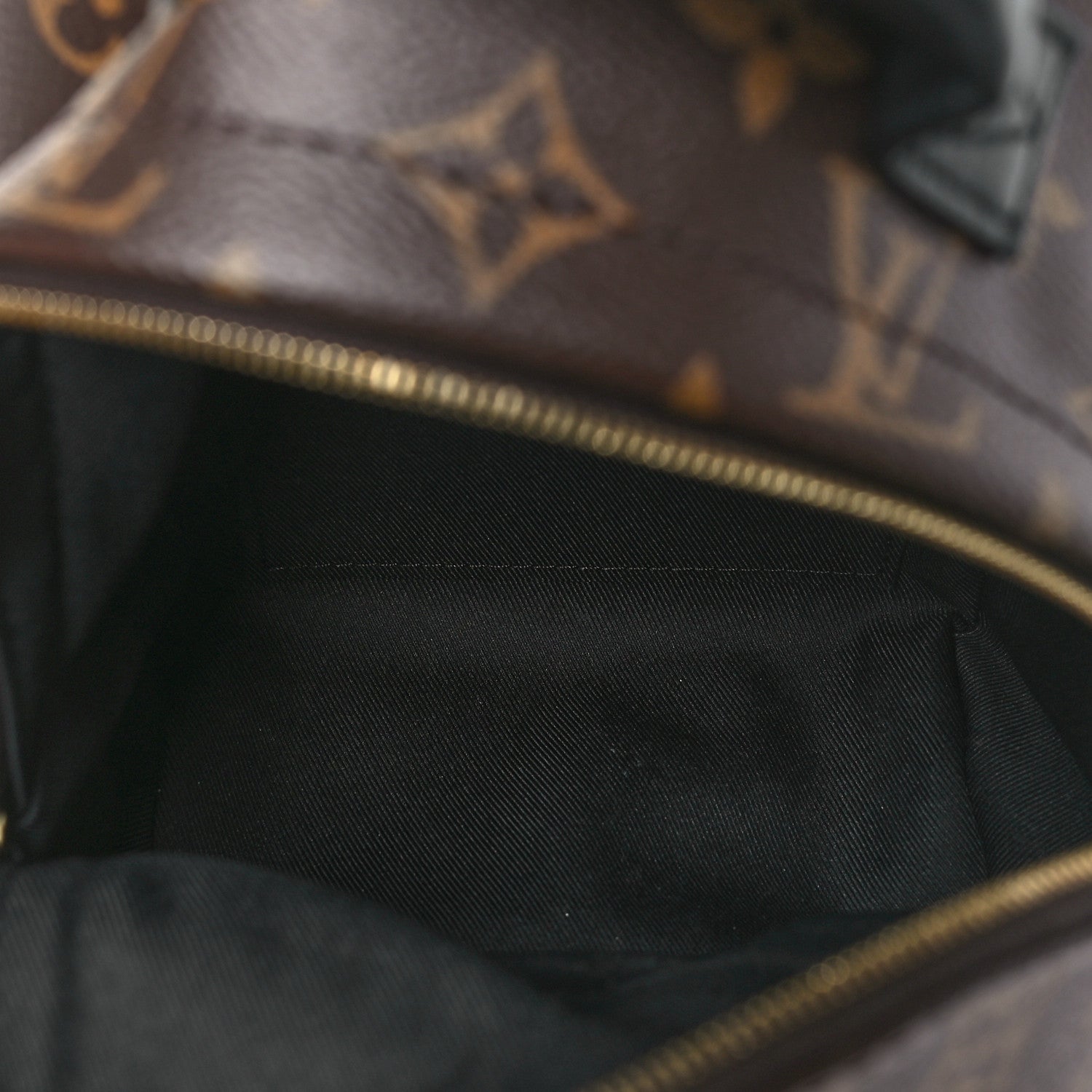 Louis Vuitton Monogram Palm Springs Backpack Mini 5 of 10