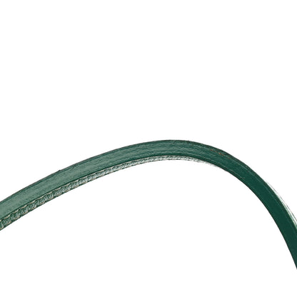 Goyard Goyardine Saint Louis GM Green 13 of 15