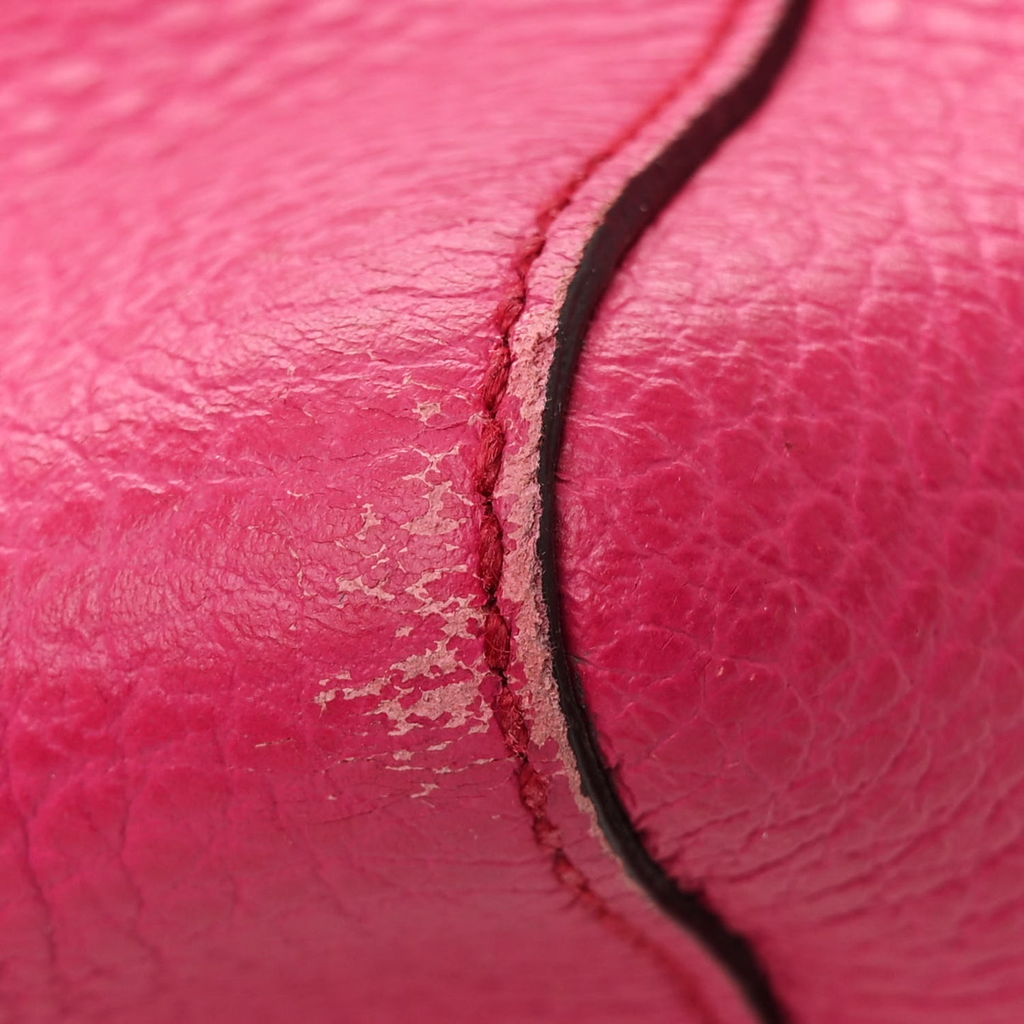 Dollar Calfskin Medium Swing Tote Blossom