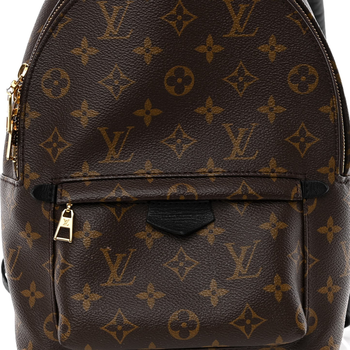 Monogram Palm Springs Backpack PM