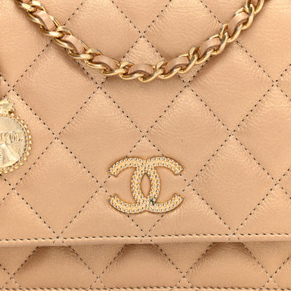 Chanel Iridescent Calfskin Quilted Wallet on Chain WOC Gold 6 of 9