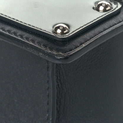Delvaux Calfskin Mini Iron Shield Madame Crossbody Black Silver 9 of 9