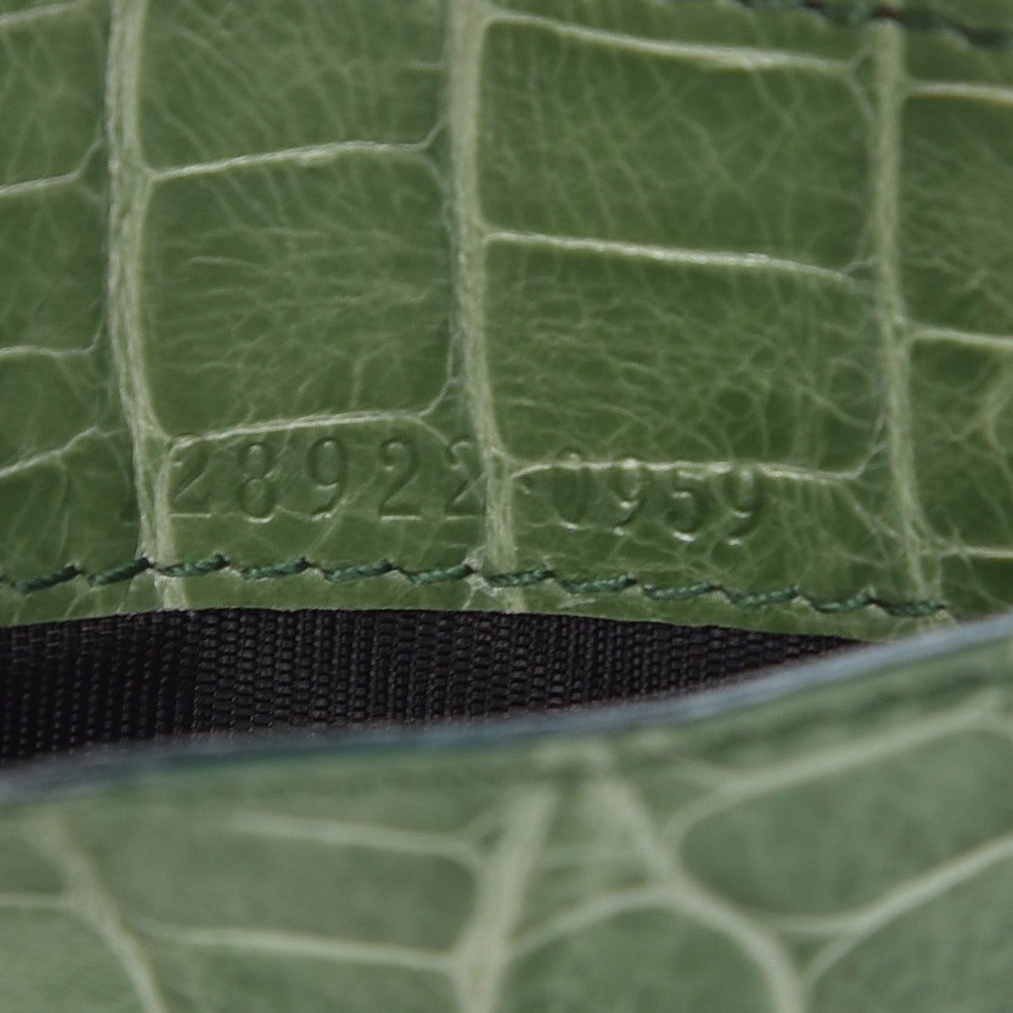 Crocodile Card Holder Vert