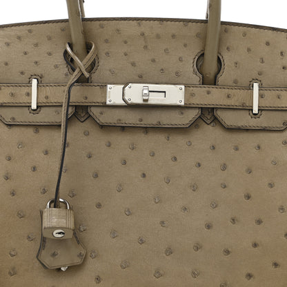 Hermes Ostrich Birkin 30 Mousse 8 of 10