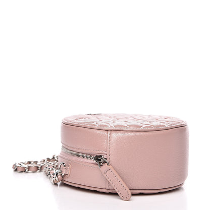 Chanel Goatskin Camellia Quilted Round Clutch With Chain Light Pink 4 of 10