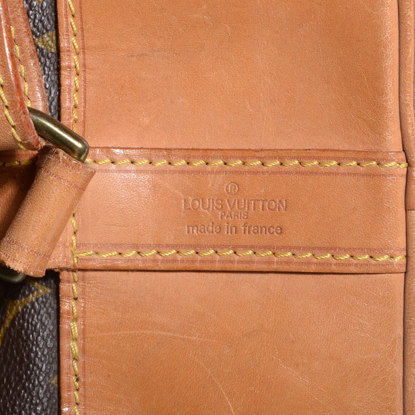 Monogram Randonnee GM Backpack