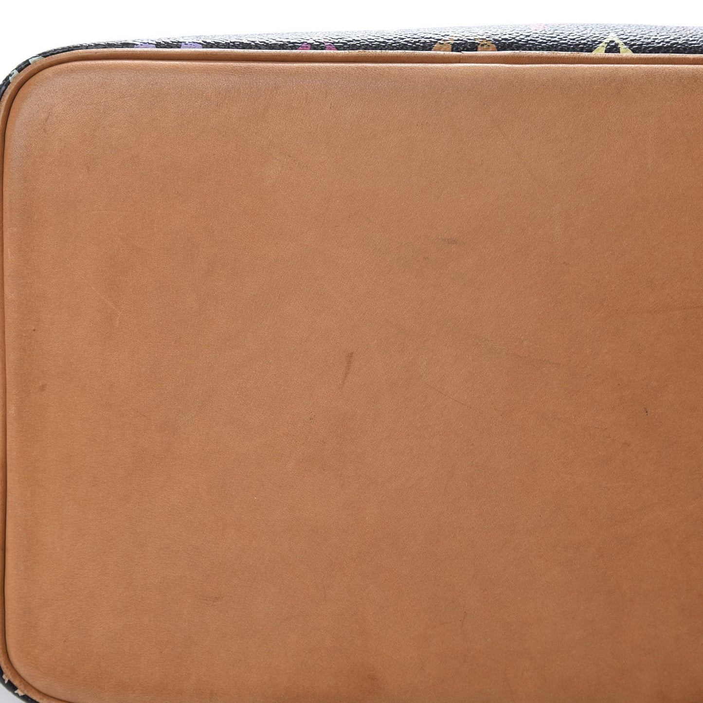 Monogram Multicolor Petit Noe Black