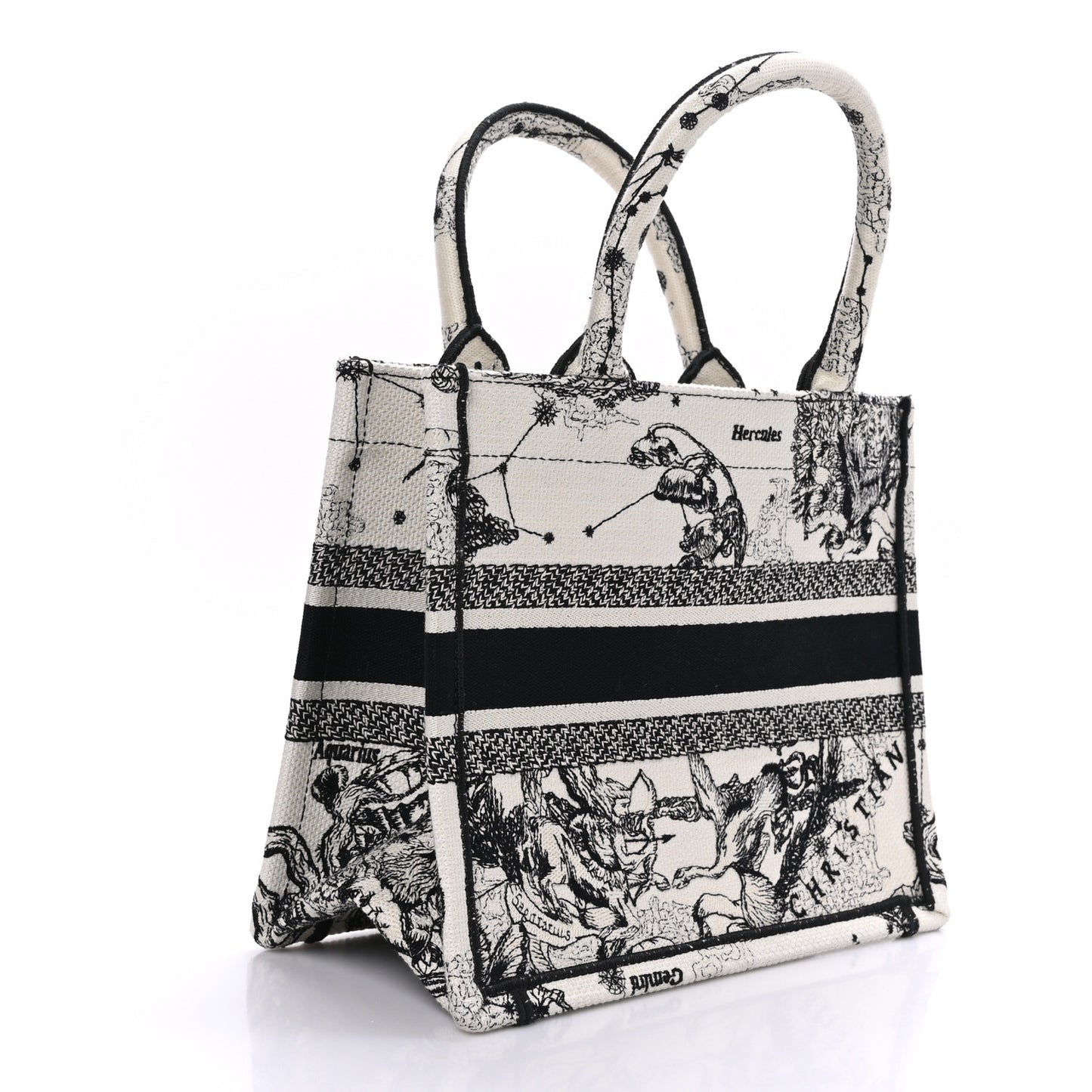 Canvas Embroidered Small Zodiac Toile De Jouy Book Tote Latte