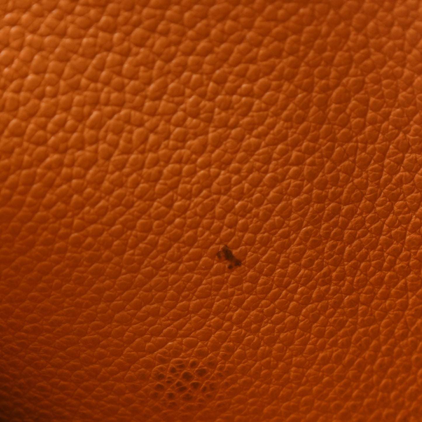 Empreinte Compact Curieuse Wallet Safran