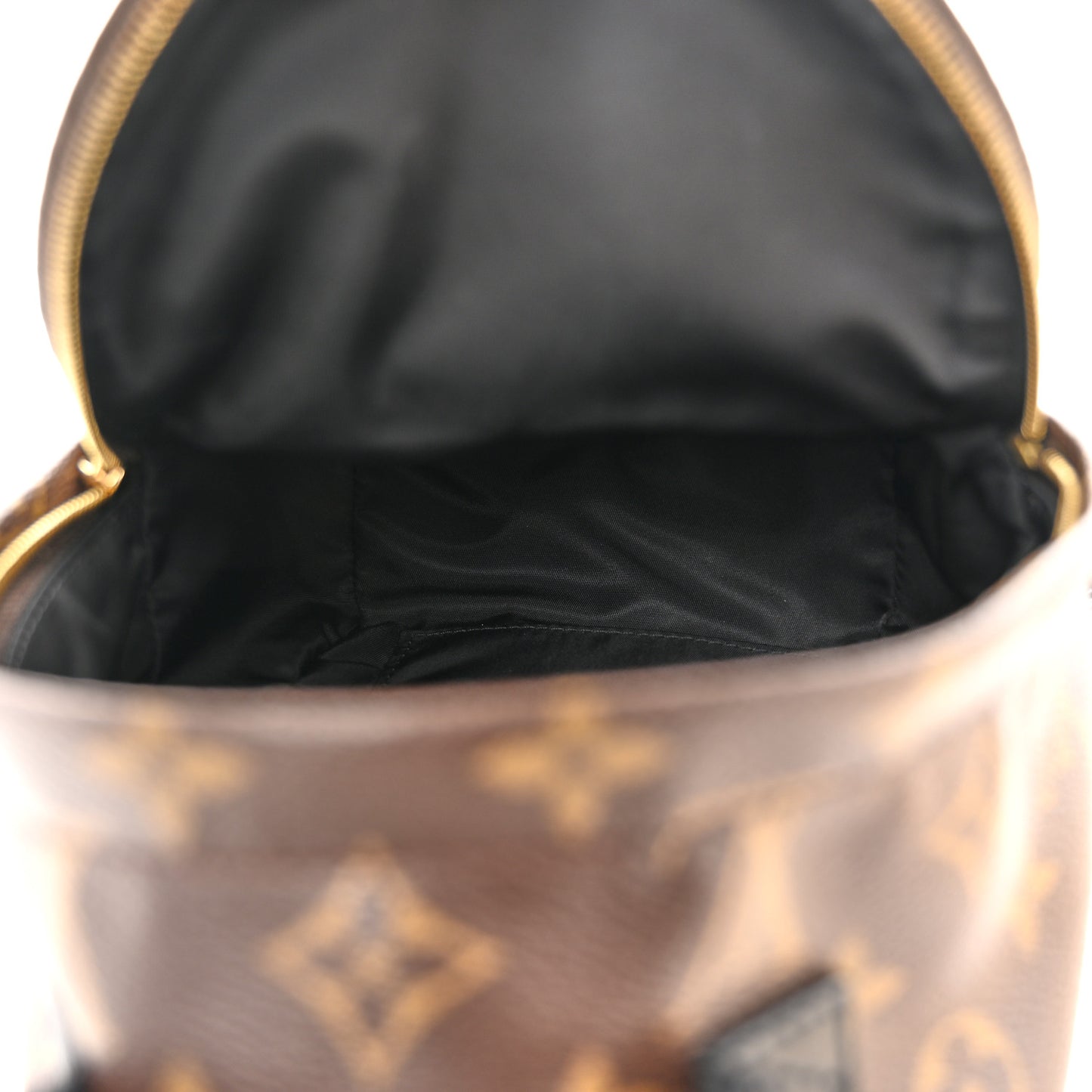 Monogram Palm Springs Backpack Mini