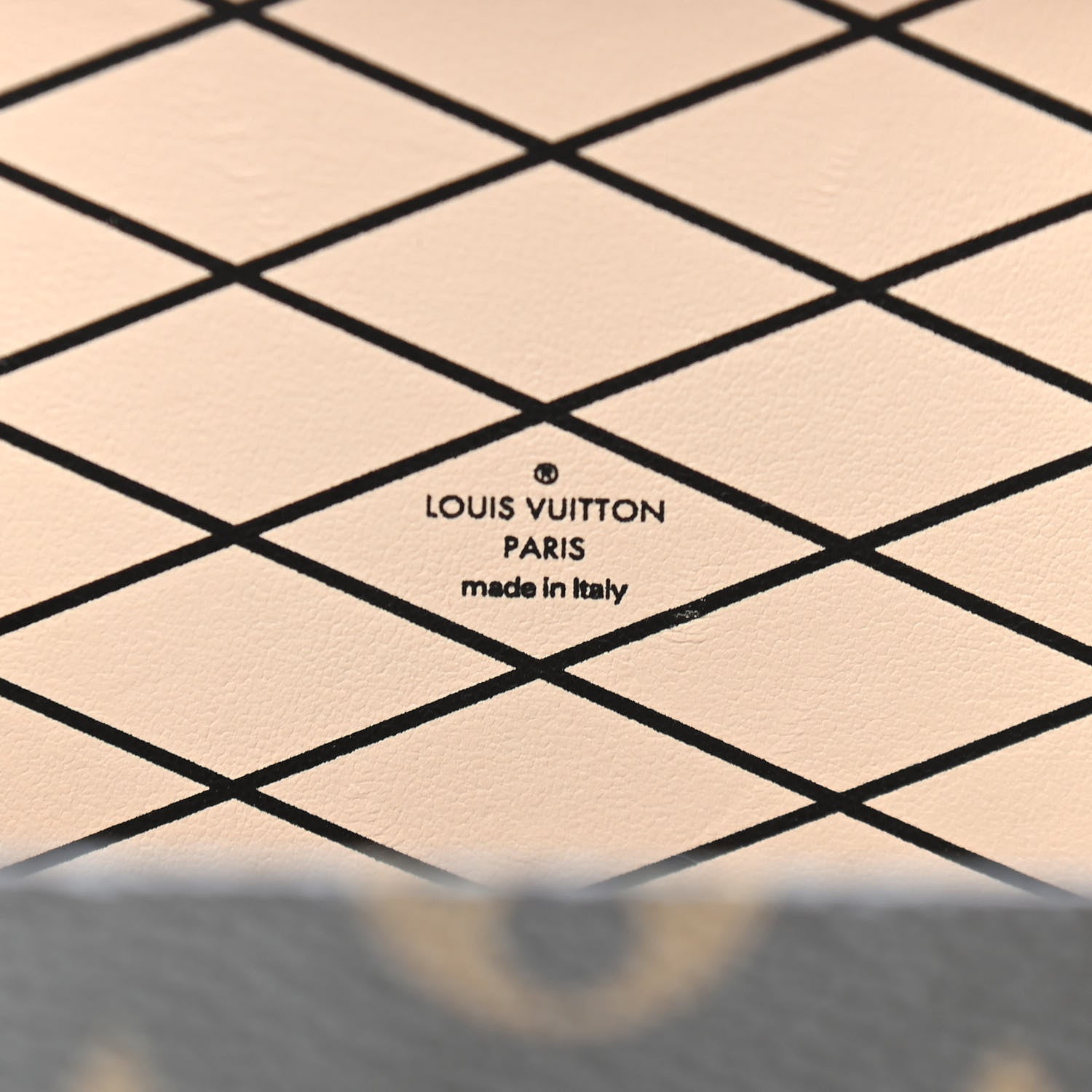 Louis Vuitton Monogram Leopard Corduroy Petite Malle 6 of 8