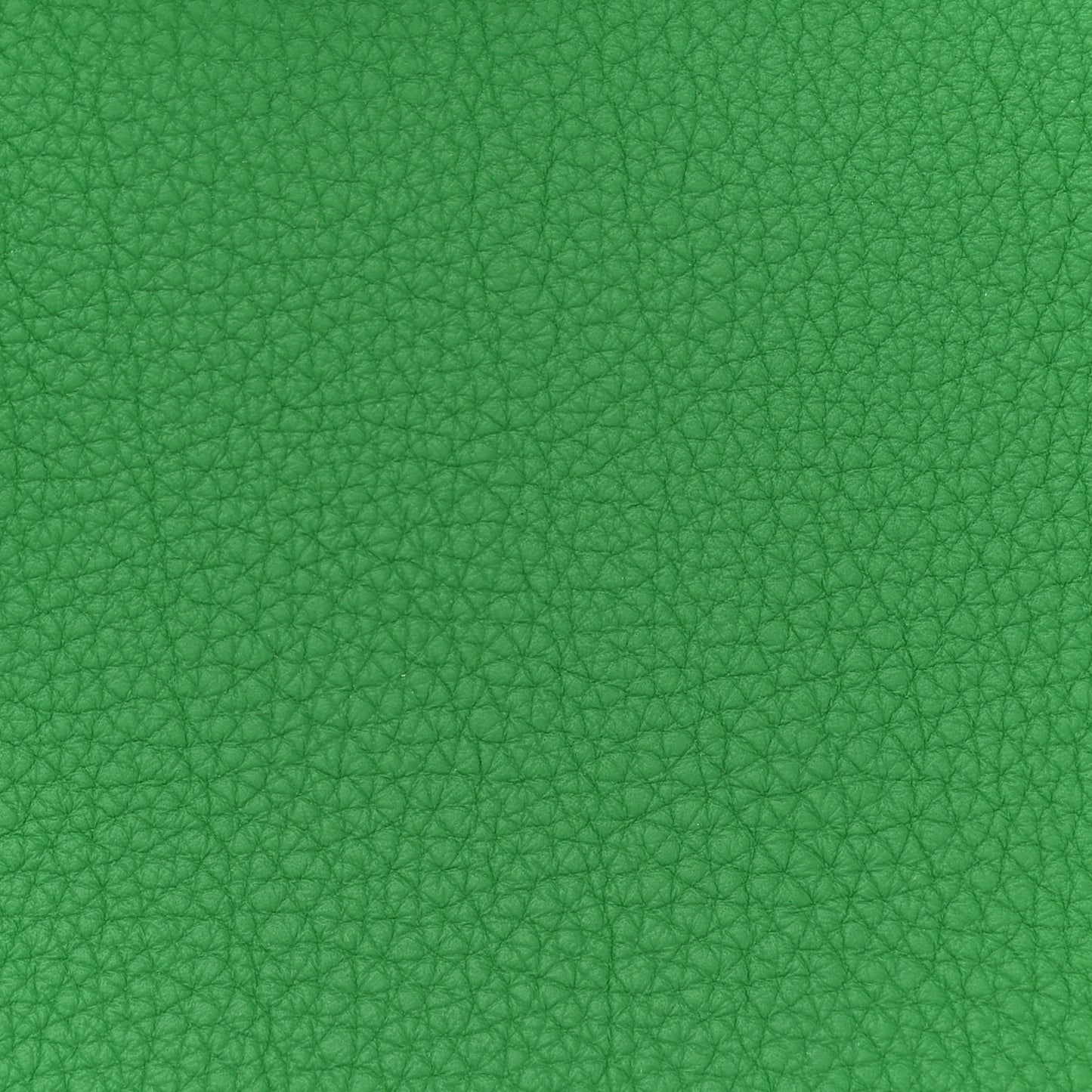 Togo Birkin 25 Bambou