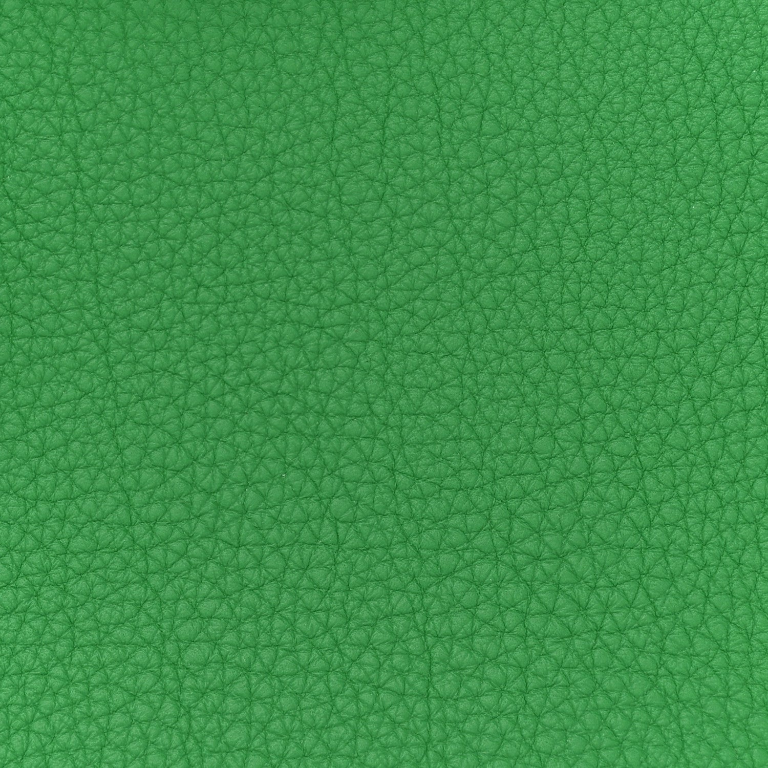 Hermes Togo Birkin 25 Bambou 8 of 11