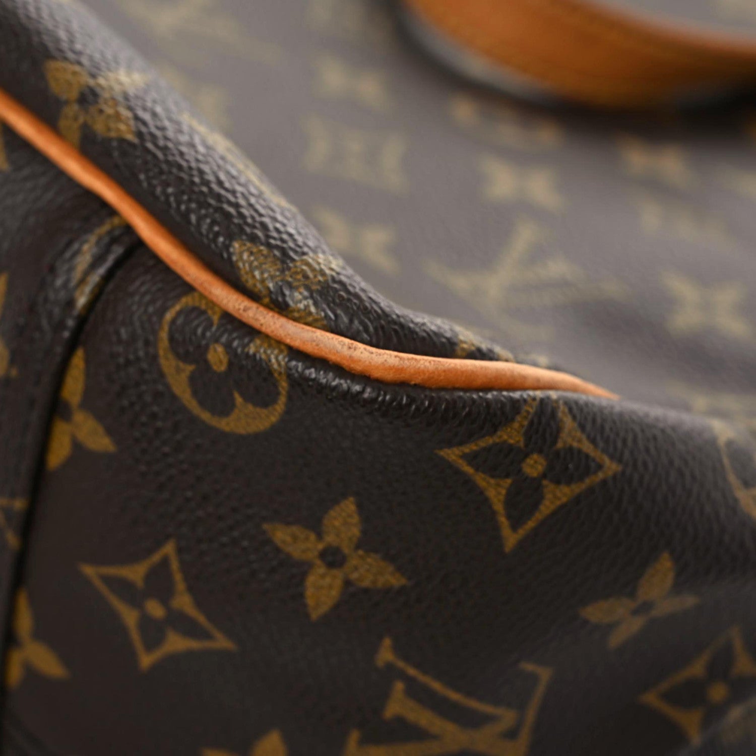 Louis Vuitton Monogram Excursion Shoe Bag 8 of 17