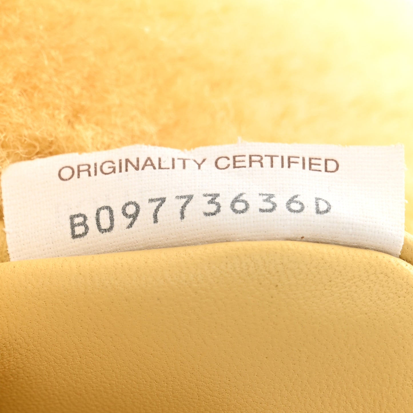 Shearling Lambskin Mini Jodie Teddy