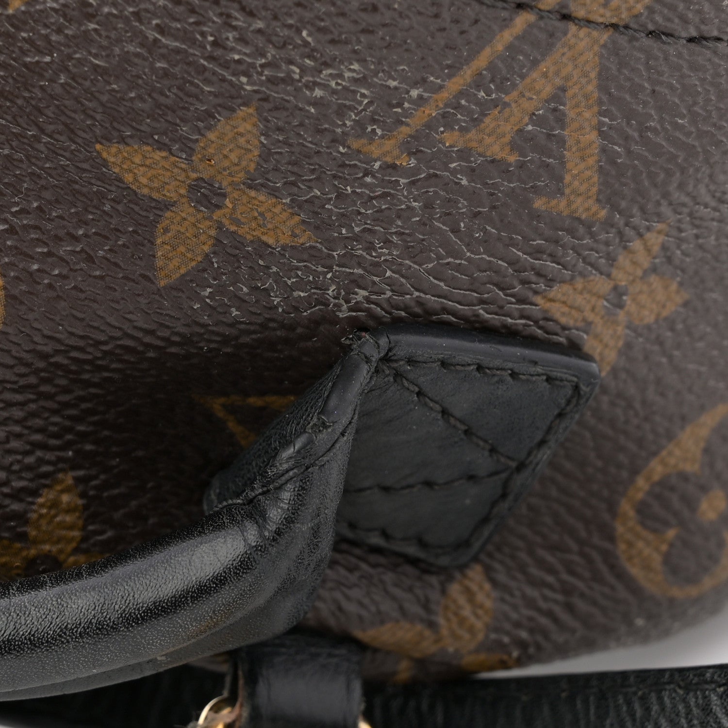 Louis Vuitton Monogram Palm Springs Backpack Mini 11 of 15