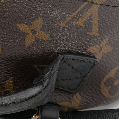 Louis Vuitton Monogram Palm Springs Backpack Mini 11 of 15