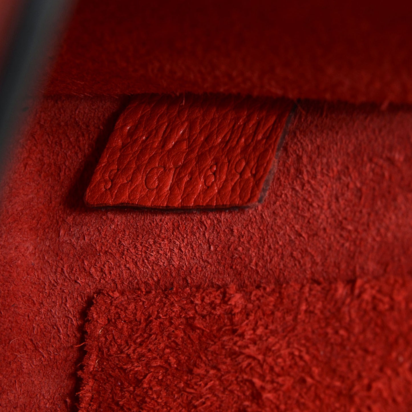 Drummed Calfskin Nano Luggage Vermillion