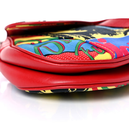 Christian Dior Canvas Bob Marley Saddle Bag Multicolor 8 of 13