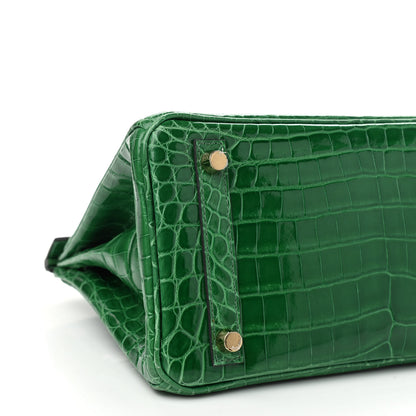Hermes Shiny Niloticus Crocodile Birkin 25 Cactus 9 of 14