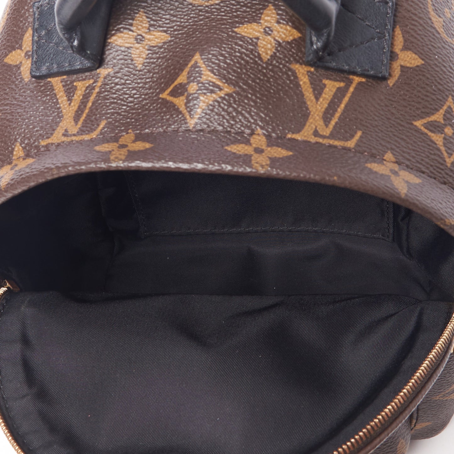 Monogram Palm Springs Backpack Mini
