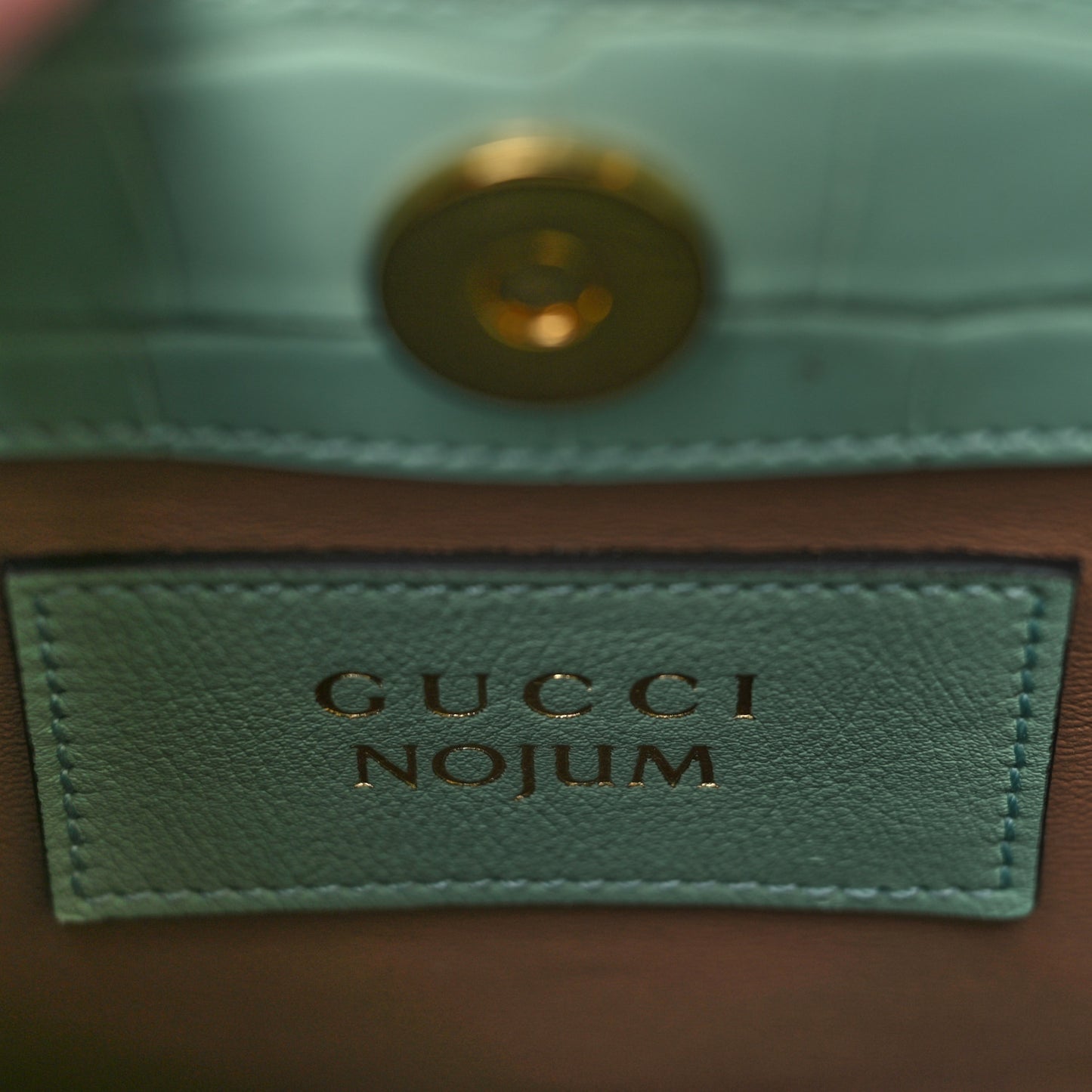Alligator Small Diana Tote Bag Green