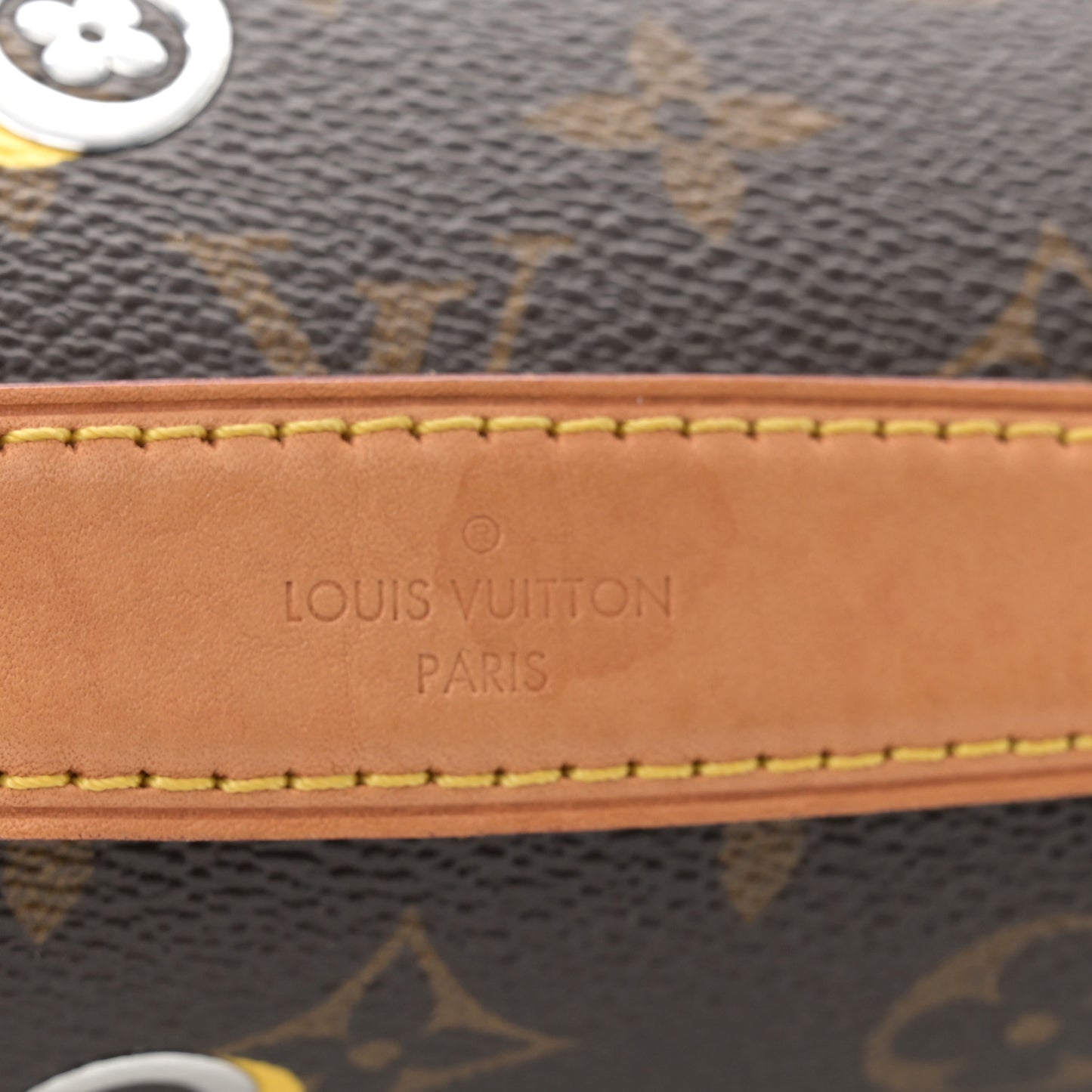 Monogram Love Lock Pochette Metis