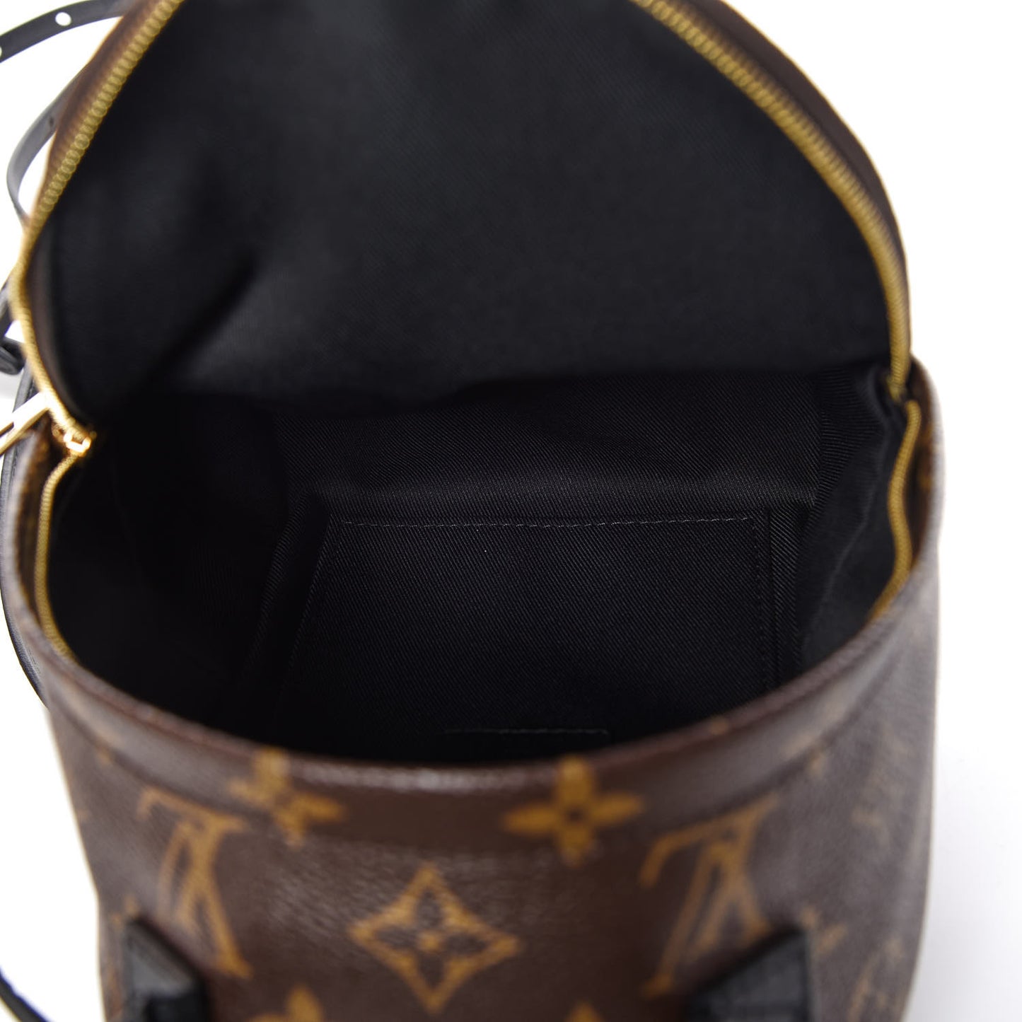 Monogram Palm Springs Backpack Mini