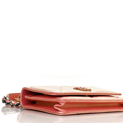 Chanel Iridescent Calfskin Quilted Chanel 19 Wallet On Chain WOC Pink 9 of 11