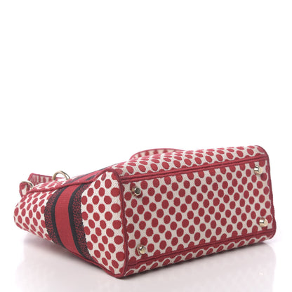 Christian Dior Canvas Medium DiorAmour Dots Lady D-Lite Red 4 of 16