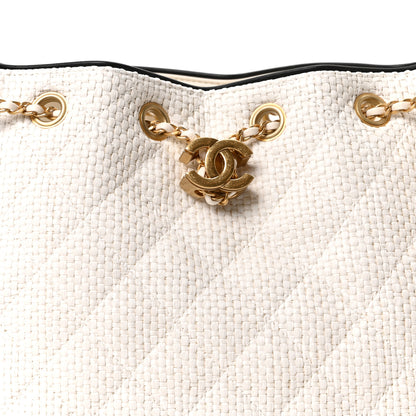 Chanel Braided Raffia Calfskin Quilted Small Chanel 25 Handbag White Black 15 of 21