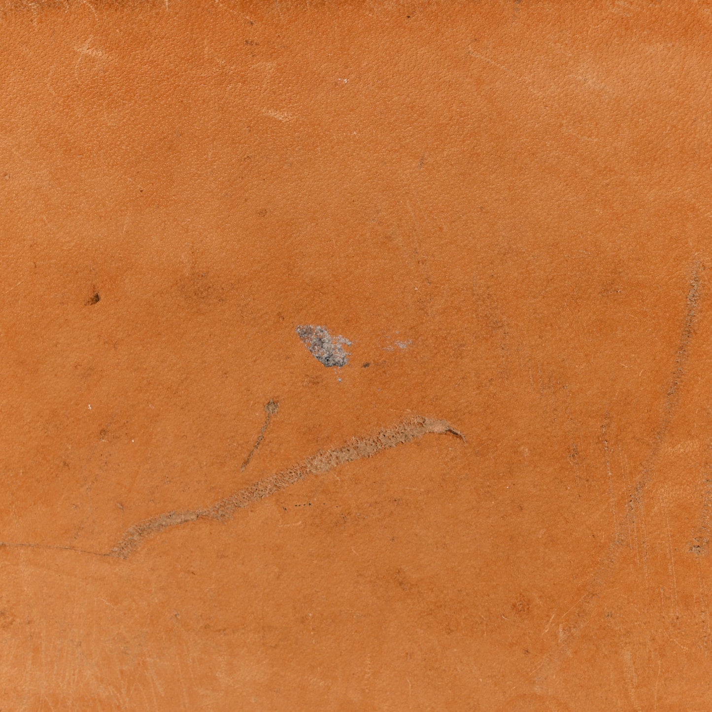 Monogram Cabas Piano
