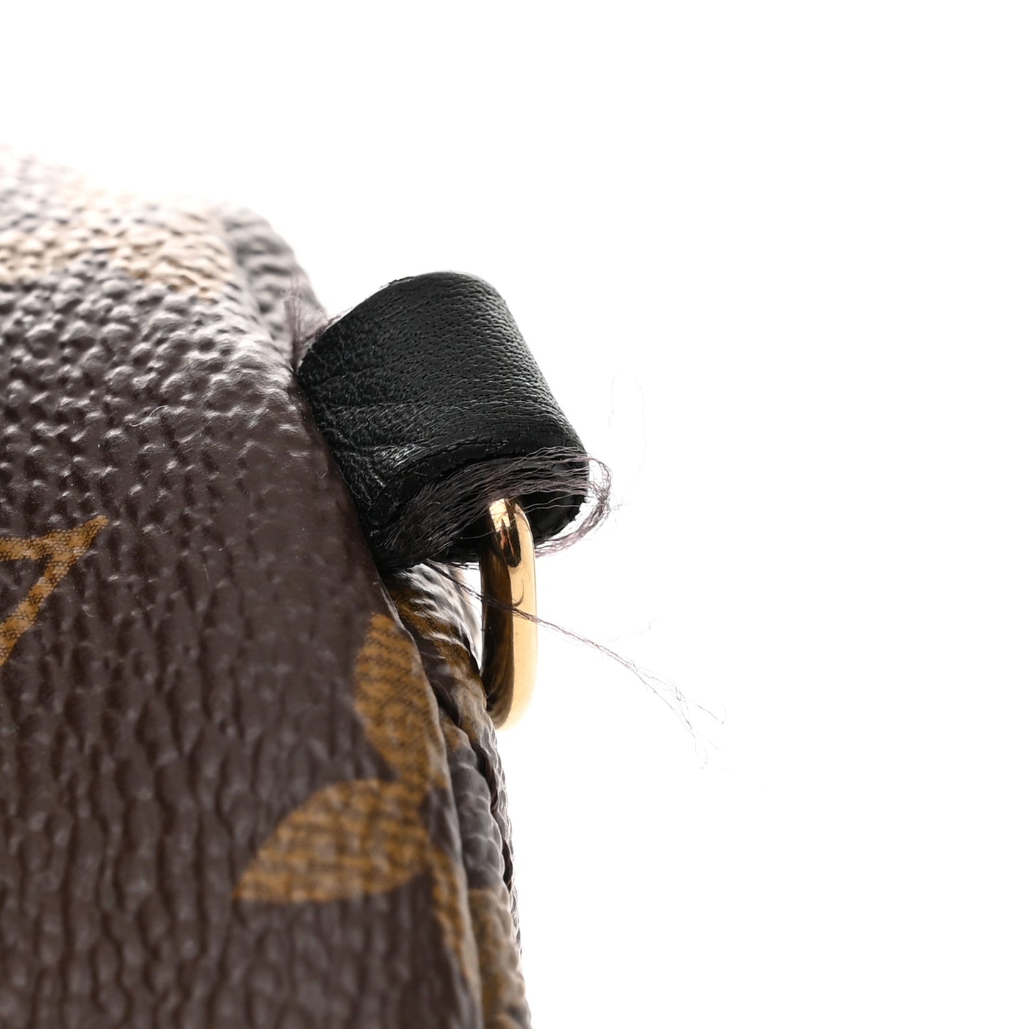 Monogram Palm Springs Backpack Mini