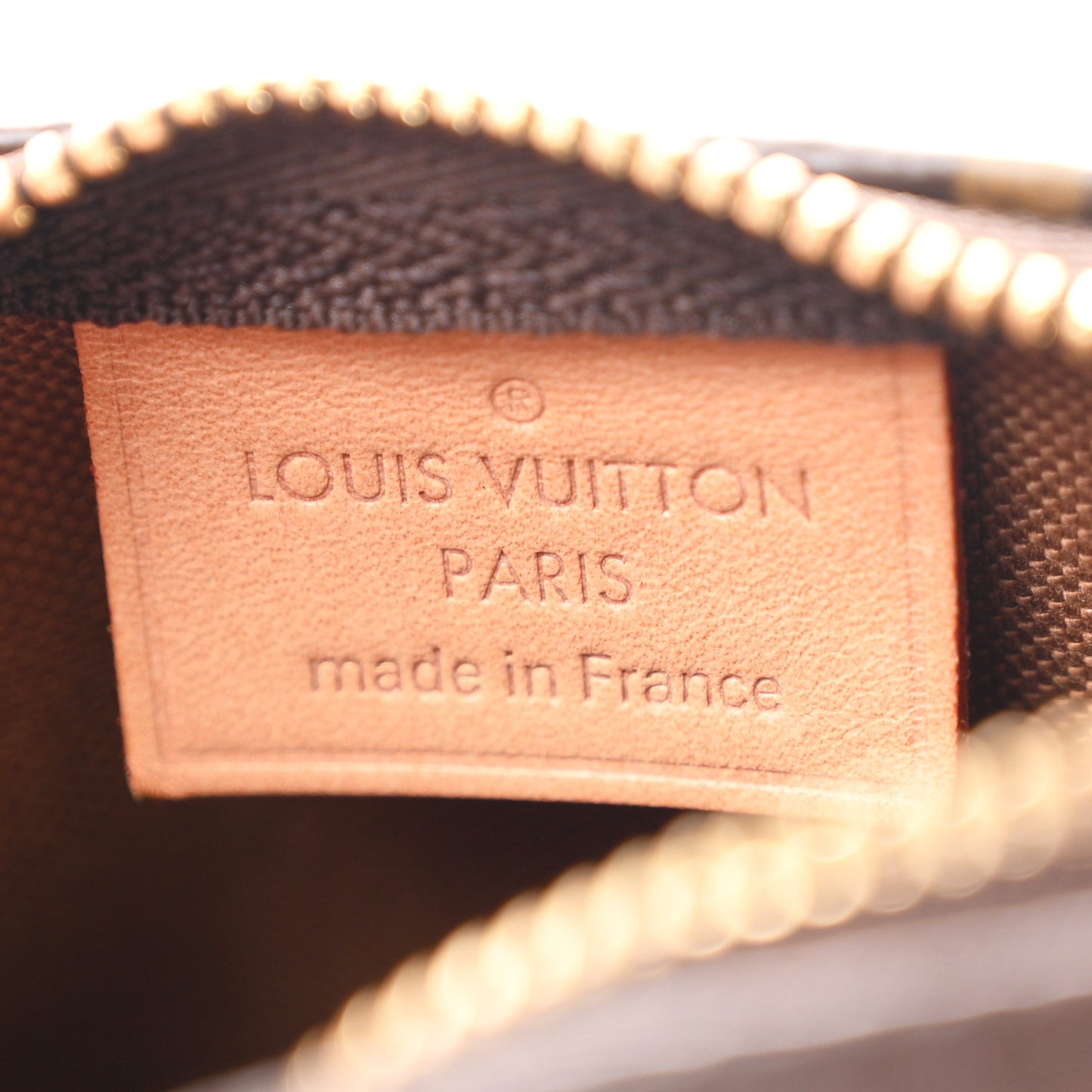 Monogram Nano Speedy
